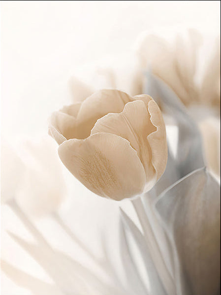 Japandi Nature Canvas Wall Art | Floral & Landscape Prints, in a styled setting, in soft neutral organic tones